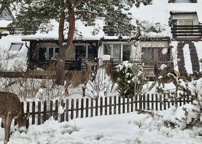 Apartament Wokol Stolu